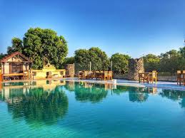 Check spelling or type a new query. Gir Lions Paw Resort With Swimming Pool Sasan Gir Updated 2021 Prices