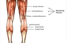 Maybe you would like to learn more about one of these? Hamstrings Stretch Or Retrain Inside Yoga