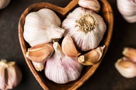 All About Garlic