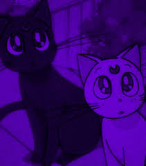 See more ideas about anime, aesthetic anime, kawaii anime. View 15 Purple Aesthetic Pfp Cat