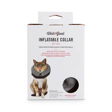 Shock collars for cats are the training collars used to train cats and to make them obedient. Collars For Cats That Hate Collars Www Macj Com Br