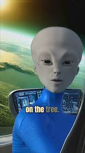 Weekly Non Bashar Channeling **Parlay synchronicity. **There's no time like  the present.