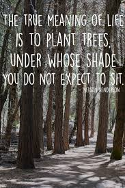 The True Meaning Of Life Is To Plant Trees Under Whose Shade You Do Not Expect To Sit Nelson Henderso Trees To Plant True Meaning Of Life Meaning Of Life