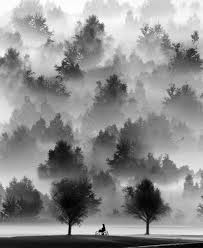 Beautiful Black And White Landscape Photos Pin By Chế Văn Năng On Landscape Black And White Landscape Nature Photography Fog Photography