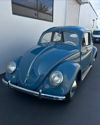 Image result for Dove Blue 1951 Beetle