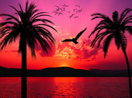 صور خلفيات طبيعية للغروب مناظر روعة 2017 ميكساتك beach wall art sunset acrylic painting canvas ideas