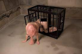 CAGE WITH CUFFS to Train Your Pet for Bondage and Fetish - Etsy