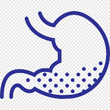 1 antman kh, pass hi, delaney t, et al. Stomach Organ Mesothelioma Abdomen Computer Icons Health Purple Text Png Pngegg