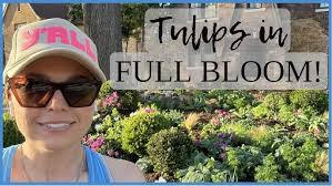 Sydney Dorman's Instagram, Twitter & Facebook