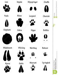 African Animal Tracks Download From Over 44 Million High
