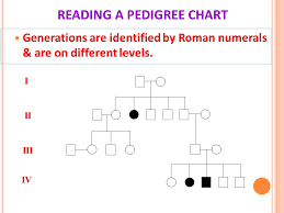 pedigree charts a family history of a genetic condition or