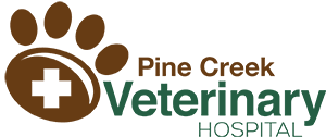 What to expect when receiving medical care from us. Pine Creek Veterinary Animal Hosptial Your Colorado Springs Vet