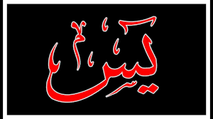 Download mp3 video surat yasin dan video mp4 gratis. Surah Yaseen Ø³ÙˆØ±Ø© ÙŠØ³ Tilawat E Quran Holy Quran Recitation Surah Yasin Beautiful Quran Recitation Youtube