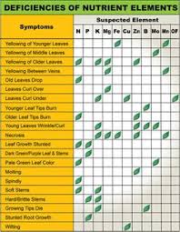 27 best deficiencies over fertilize npk images plants