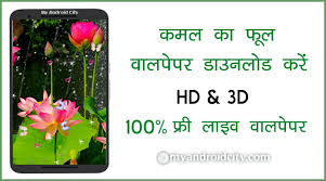à¤•à¤®à¤² à¤• à¤« à¤² à¤µ à¤²à¤ª à¤ªà¤° à¤¡ à¤‰à¤¨à¤² à¤¡ hd à¤« à¤Ÿ lotus wallpaper myandroidcity