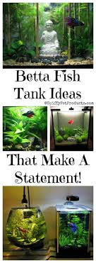 Pet Akwarium Goed Betta Fish Tank Setup Ideas For Your Pet Fish That Make A Statement And Adds To Your Home Decor Pet Ins 2020 Beta Baligi Akvaryumlar Betta