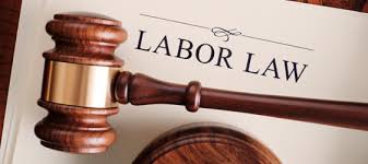 We did not find results for: Labor Employment Law Radey Law Firm