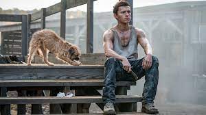 Tom holland hd wallpapers of in high resolution and quality, as well as an additional full hd high quality tom holland wallpapers, which ideally suit for desktop and also android and iphone. Tom Holland In Chaos Walking Wallpaper Hd Movies 4k Wallpapers Images Photos And Background Wallpapers Den