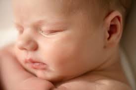 Lynn Roberts Photography added...