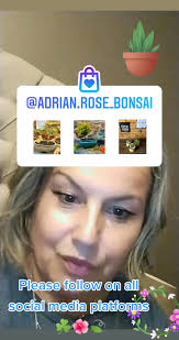 Adrian Rose Bonsai