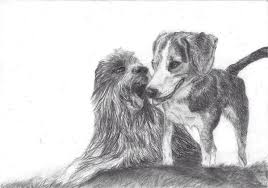 Two Best Friends Poppy And Oscar Drawing Dogsoftwitter Dog Drawing Art Dog Travel