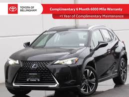 Image result for Autumn Shimmer 2019 UX