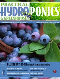 Blueberries are fairly easy to grow, if you follow some basic how to grow blueberries. Practical Hydroponics Greenhouses By Practical Hydroponics Greenhouses Issuu
