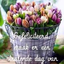 Verjaardag Verjaardag Vrouw Verjaardag Verjaardag Bloemen