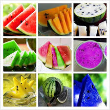 Is watermelon a fruit or vegetable. Colorful Watermelon Fruit Seeds Jack Seeds