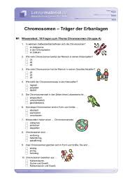Dann wird in zelle a2 die summe von tabellenblatt 2012 in spalte a gebildet wenn du jetzt den wert in zelle a1 von 2012. Arbeitsblatt Chromosomen Trager Der Erbanlagen Lehrermaterial De