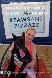 Gold Coast Brisbane Dog Cafes And Off Leash Areas Tony And Kim Shari Outdoor Adventures Dog Cafe Dog Friendly Beach Gold Coast
