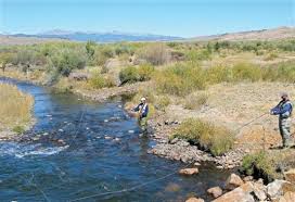 Jump to navigation jump to search. Gold Medal On The Arkansas Can I Still Fish Here Sterling Journal Advocate