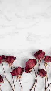 The iphone 11 pro and iphone 11. Phone Wallpaper For Guys Handyhintergrundbild The Latest Iphone11 Iphone11 Pro Ipho Flower Iphone Wallpaper Iphone Wallpaper For Guys Disney Phone Wallpaper