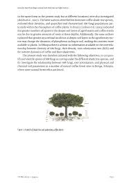 Image result for Pouteria adolfi-friederici