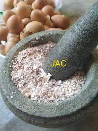 Disini ada dikongsikan cara buat baja buah organik dengan mengunakan dua bahan sahaja dan hanya bermodalkan rm2 sahaja. Kulit Telur Jangan Dibuang Kumpul Jadi Baja Organik Suburkan Pokok Mingguan Wanita