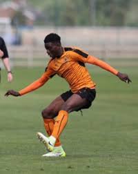 Many wolves fans have been left fuming as a transfer update emerged on owen otasowie. Talented Wolves Midfielder Called Up To United States Squad For Costa Rica Friendly All Nigeria Soccer The Complete Nigerian Football Portal