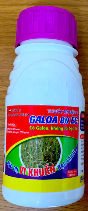 Galoa 80EC
