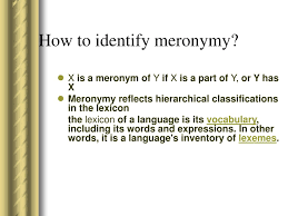 N the semantic relationship between a meronym, or a part of. Ppt Lexical Relations Powerpoint Presentation Free Download Id 6150764
