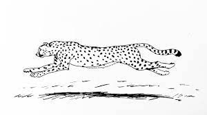 How To Draw A Cheetah Running Step By Step Youtube