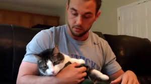 Capsuline, a manufacturer of hardshell gelatin, vegetable and. How To Apply Claw Caps For Cats Youtube