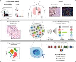 Computational Approaches For Characterizing The Tumor Immune