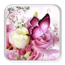 Maybe you would like to learn more about one of these? Amazon Com Pink Butterfly Live Wallpaper Appstore For Android