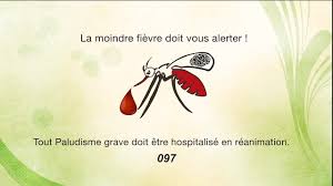 Le paludisme causes du paludisme symptômes du paludisme traitement à base de plantes médicinales le paludisme le. Paludisme Grave Home Facebook