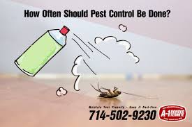 Maybe you would like to learn more about one of these? How Often Should Pest Control Be Done A 1 Bonded Termite Inc