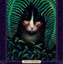 Hollyleaf Jayfeather And Lionblaze Pics From The Ultimate Guide Warrior Cats Warrior Cats Fan Art Warrior Cats Books