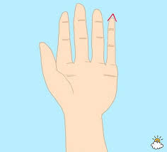 A long pinky signifies that you are a passionate, driven person. What Your Pinky Finger Says About Your Personality