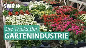 Palmiers ina garten youtube food network recipes food recipes. Die Tricks Der Gartenindustrie Die Tricks Swr Youtube