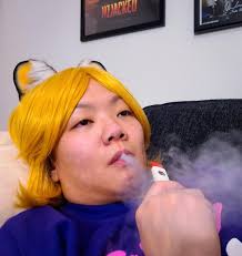420 Garfield Cosplay : r/JWoDesigns