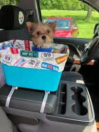 Custom Toby Console Car Seats For Small Dogs Now In Pink Or Etsy In 2020 Dog Console Small Dog Accessories Dog Safety
