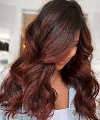 Golden highlights in auburn hair is one of the most common applications used worldwide, since gold is a warm color that with auburn hair will look amazing and will be an easy way to have that change of look. Here S How To Get Cinnamon And Chestnut Highlights On Dark Hair Dark Hair With Highlights Hair Color Auburn Red Highlights In Brown Hair